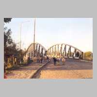 111-1129 Schafe auf der langen Bruecke (Foto Kenzler).jpg